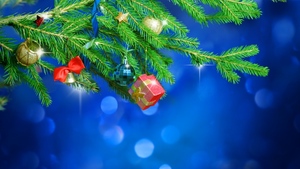Mrs. Claus and the International Order of Reserve Elves