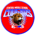 CMS